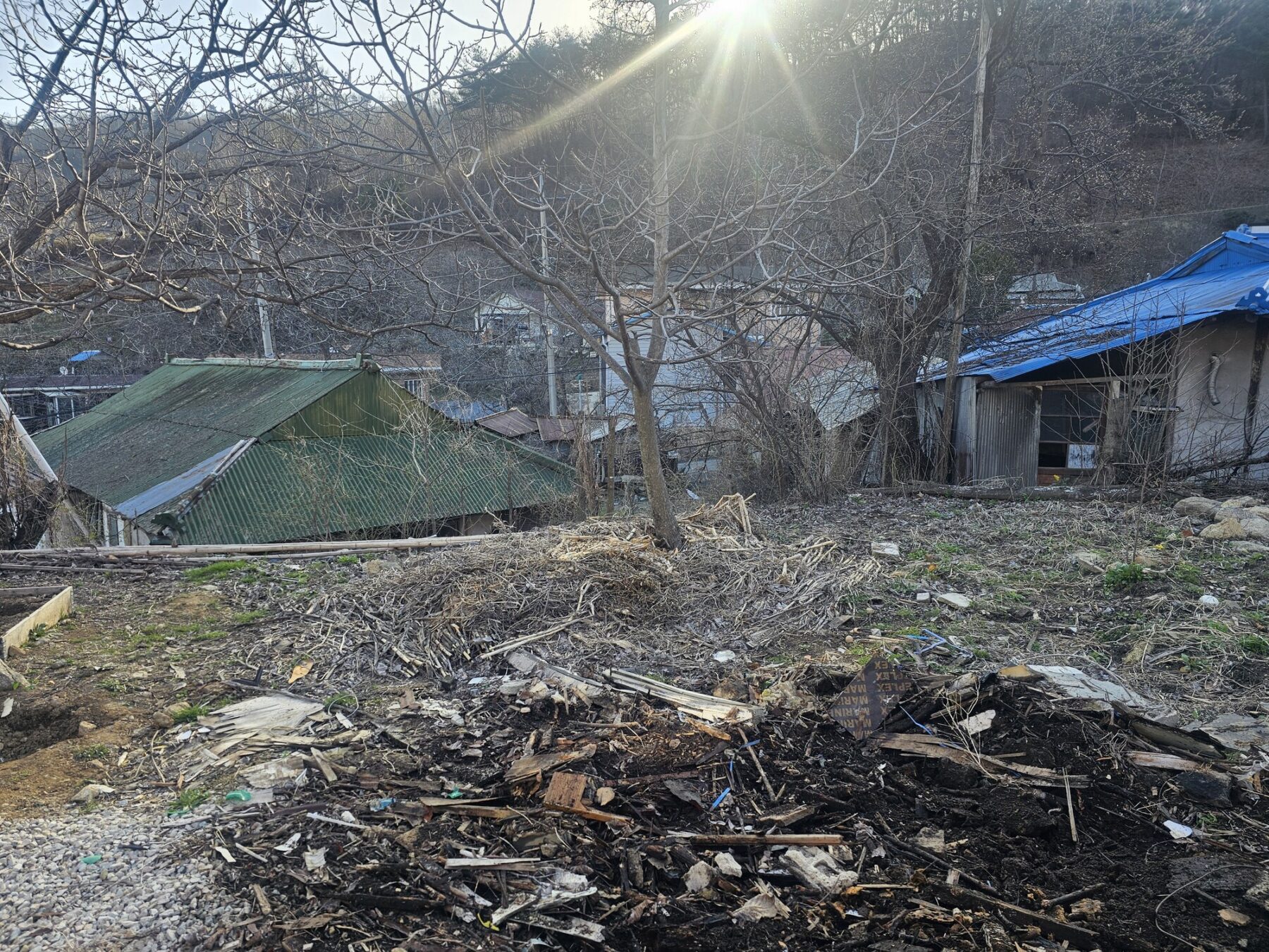 충북 영동군 농막부지 조성 전 수목과 돌이 남아 있던 경사지