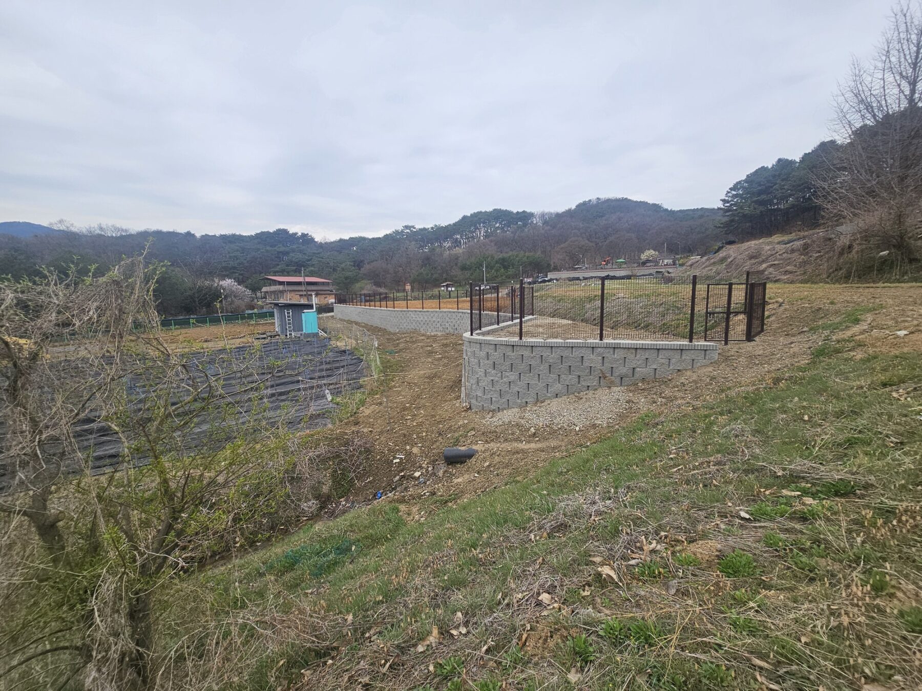 주변 지형과 연결된 보강토 옹벽 및 부지 경계 전경